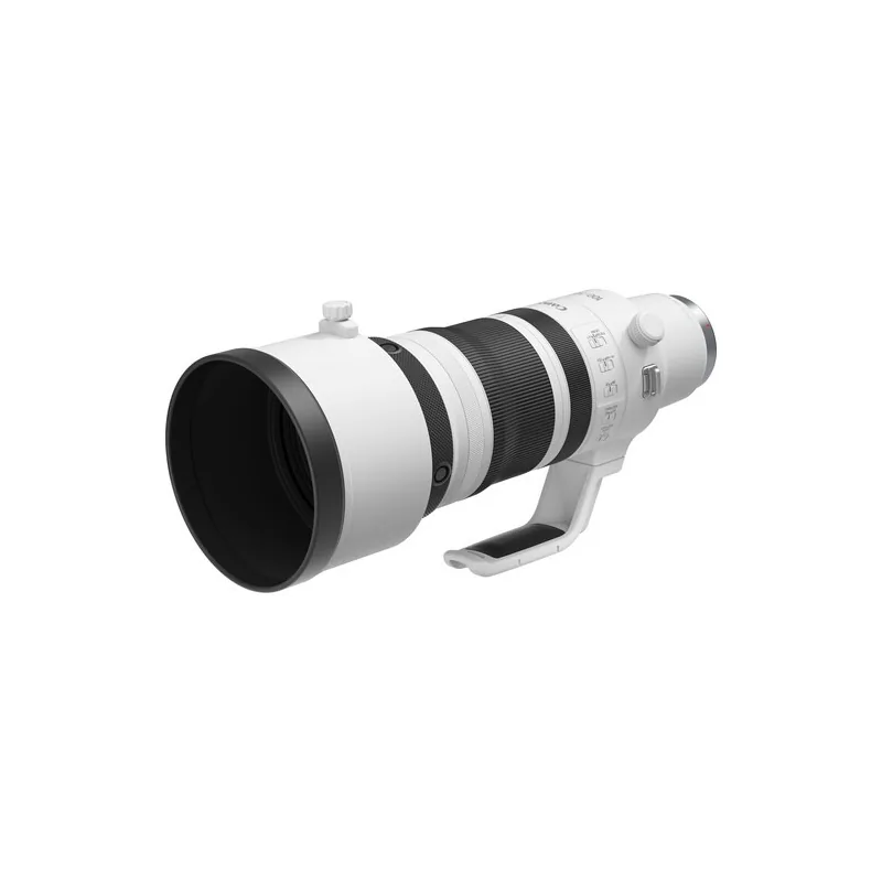 Canon RF 100-300mm f/2.8 L IS USM 7