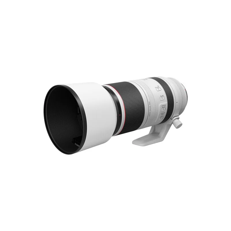 Canon RF 100-500mm f/4.5-7.1 L IS USM 6