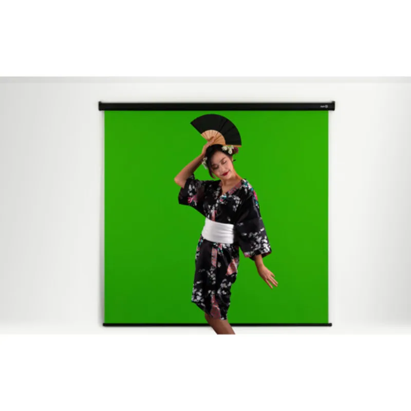 Elgato Green Screen MT 4
