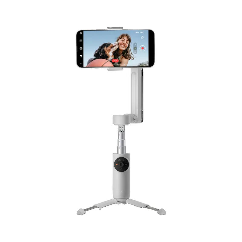 Insta360 Flow Standalone 6