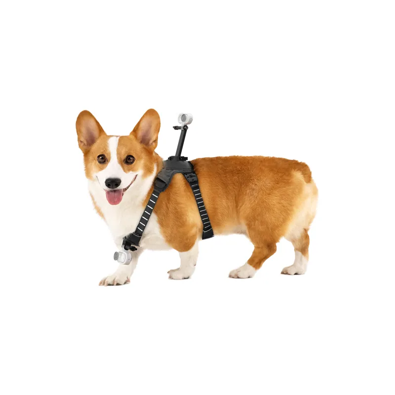 Insta360 Pet Harness Mount 2