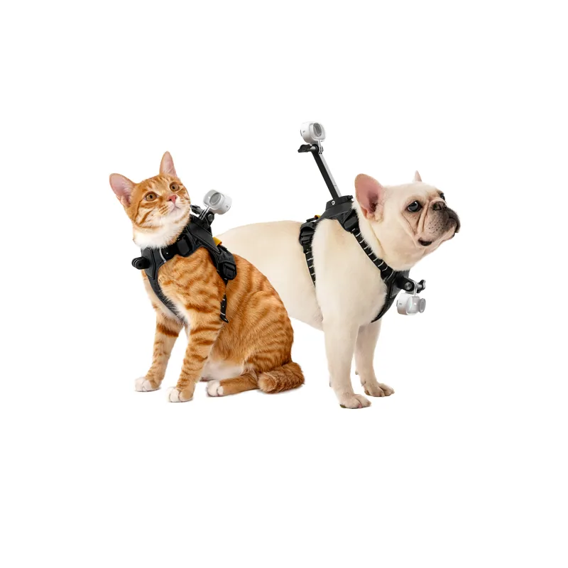 Insta360 Pet Harness Mount 5