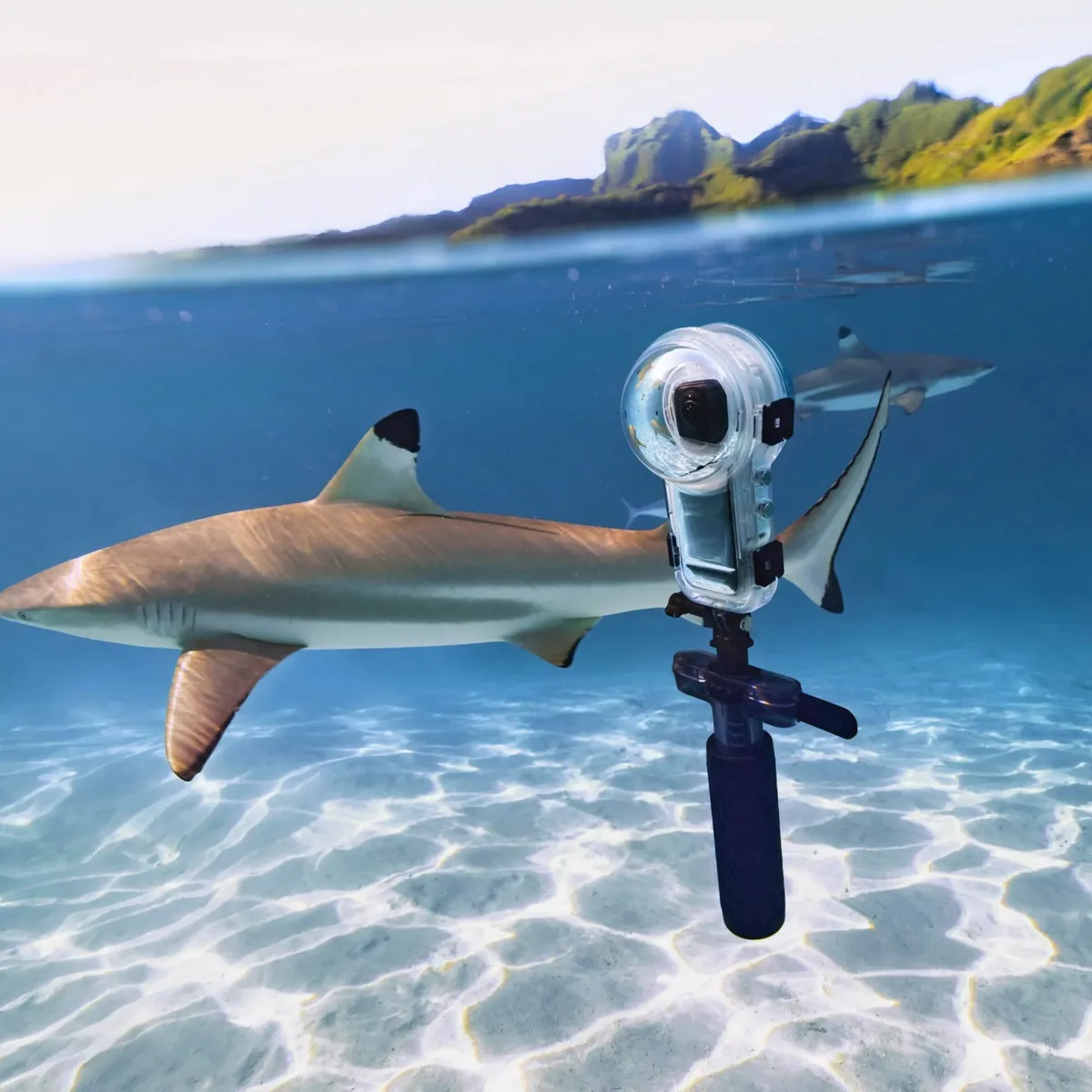 Insta360 X5 Dive Buddy 8