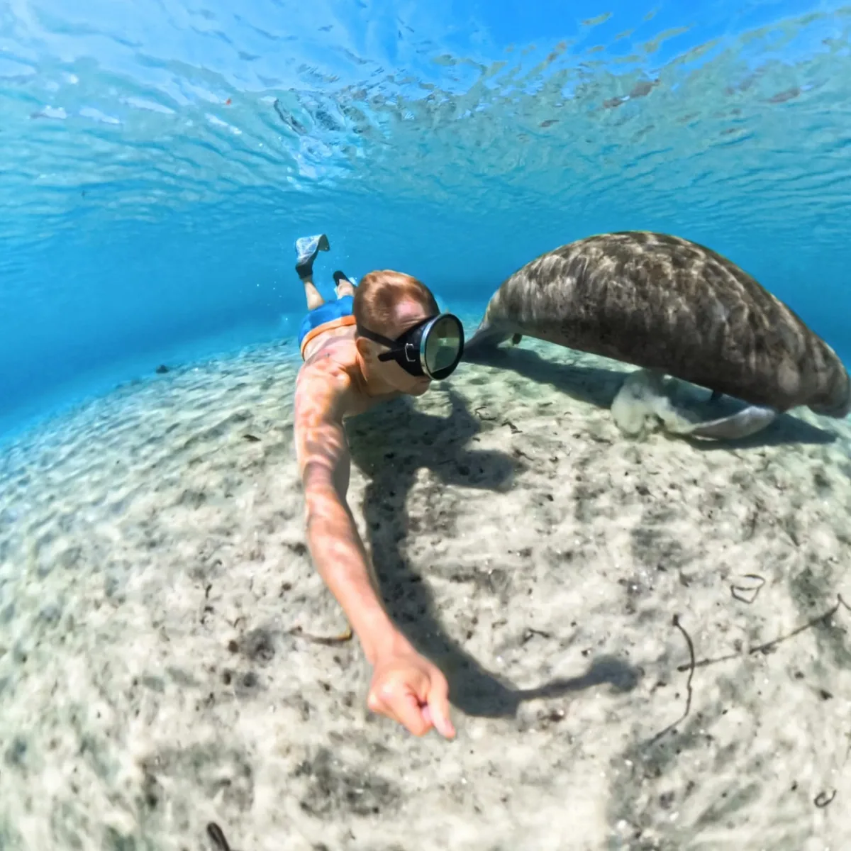Insta360 X5 Invisible Dive Case 6