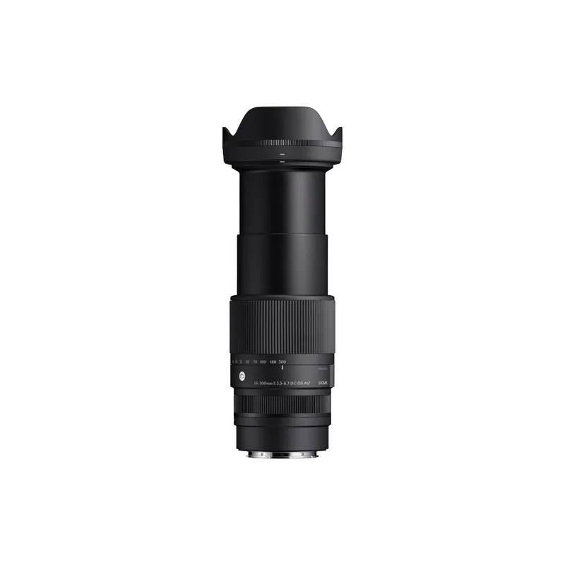 Sigma 16-300mm f/3.5-6.7 DC OS (Sony E) 4