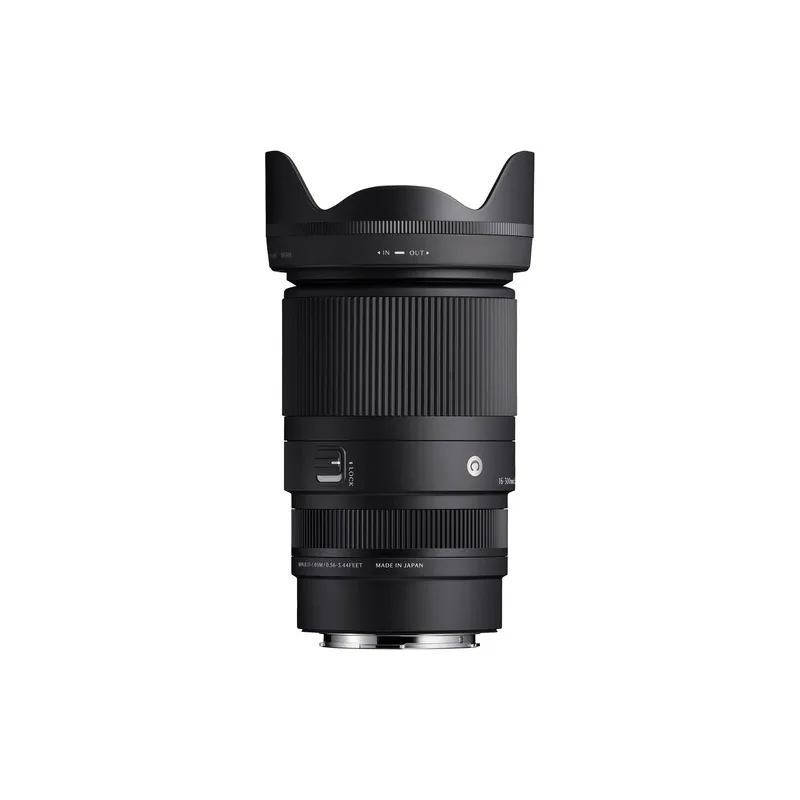 Sigma 16-300mm f/3.5-6.7 DC OS (Sony E) 5