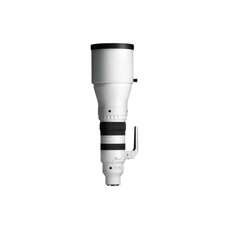 Sigma 300-600mm f/4 DG OS Sports (Sony E) 10
