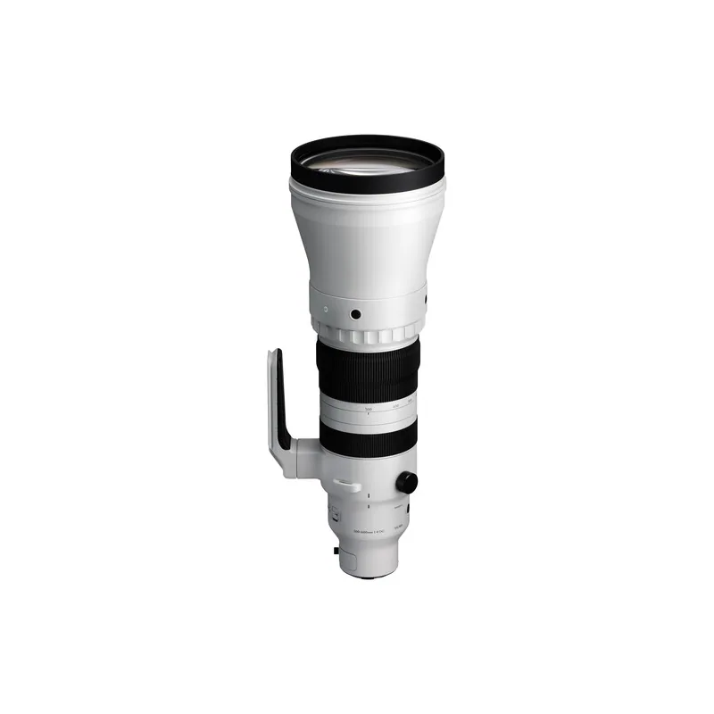 Sigma 300-600mm f/4 DG OS Sports (Sony E) 2