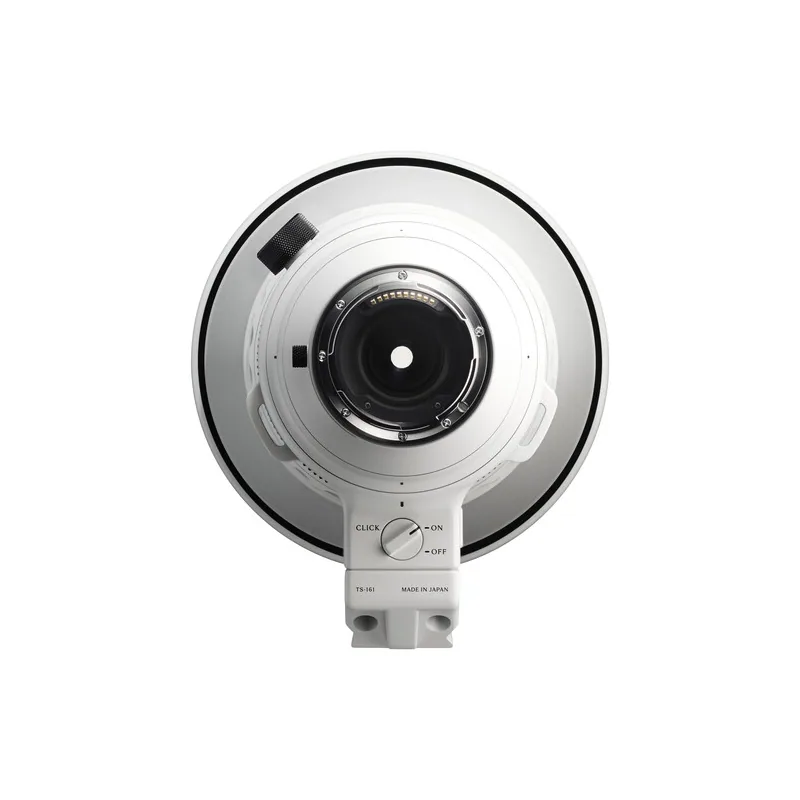 Sigma 300-600mm f/4 DG OS Sports (Sony E) 8