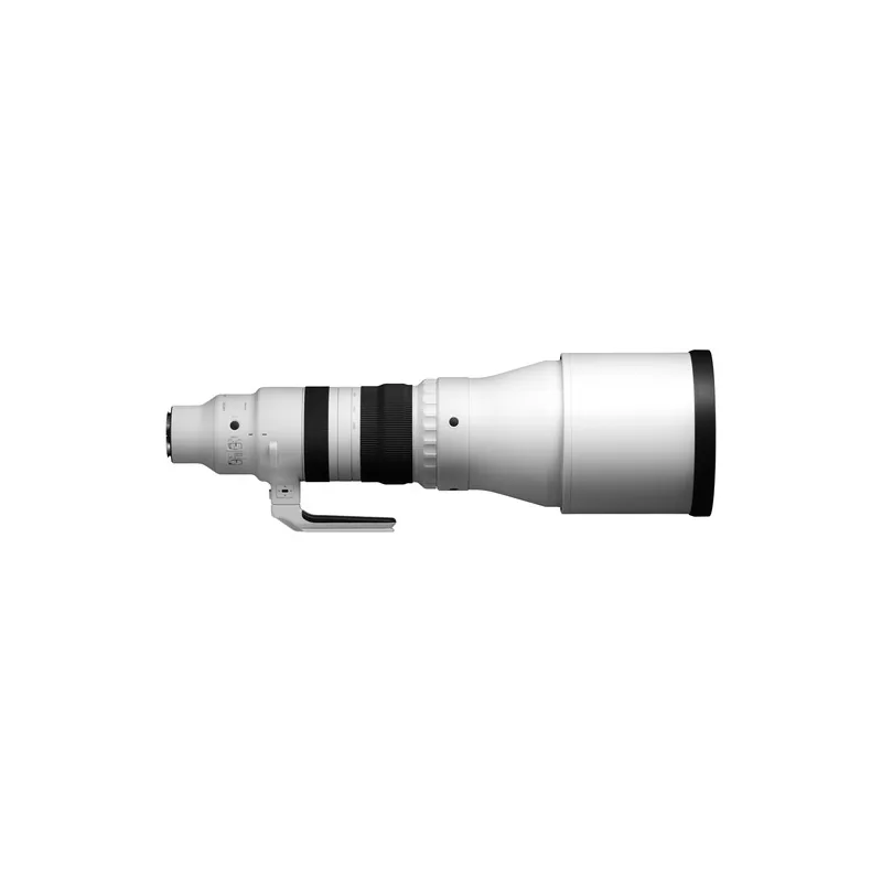 Sigma 300-600mm f/4 DG OS Sports (Sony E) 9