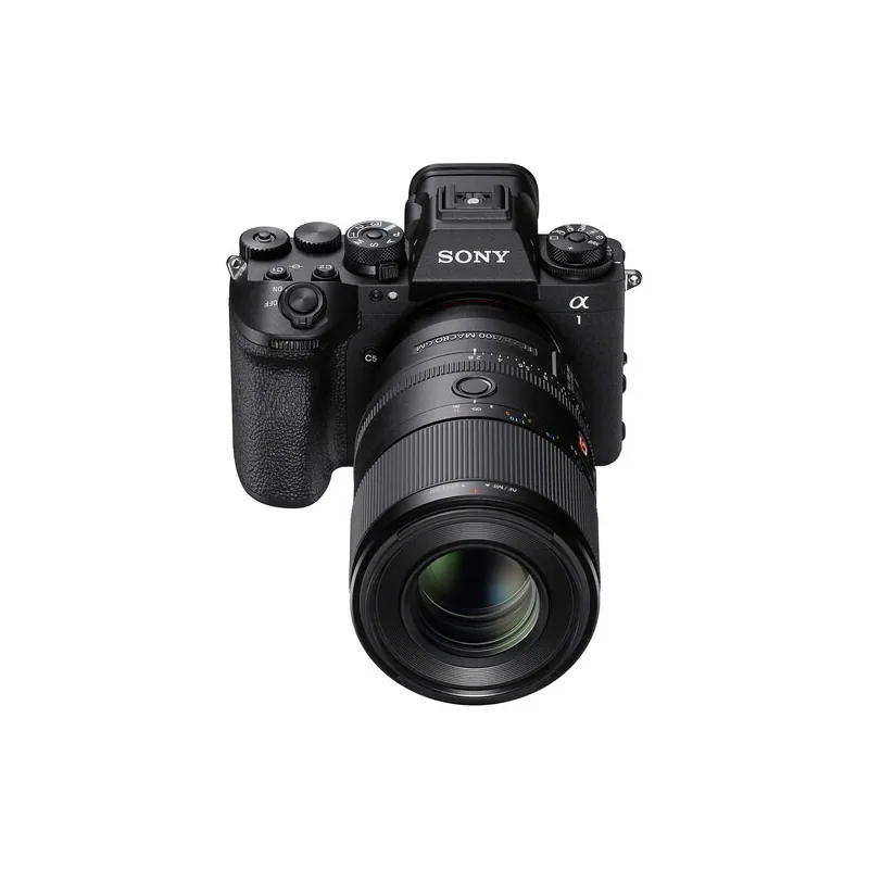 Sony FE 100mm f/2.8 Macro GM OSS (Sony E) 4