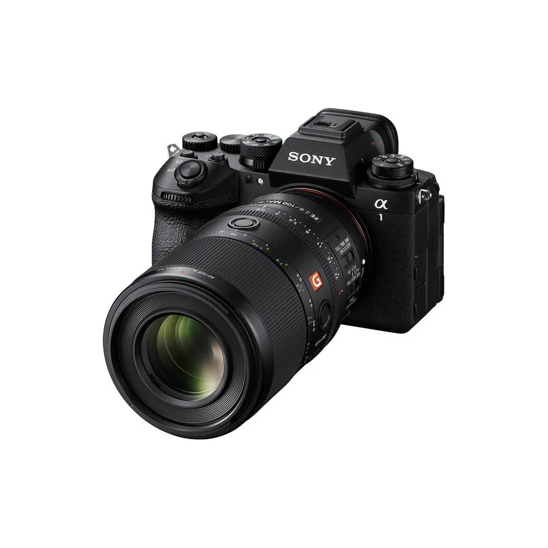 Sony FE 100mm f/2.8 Macro GM OSS (Sony E) 5