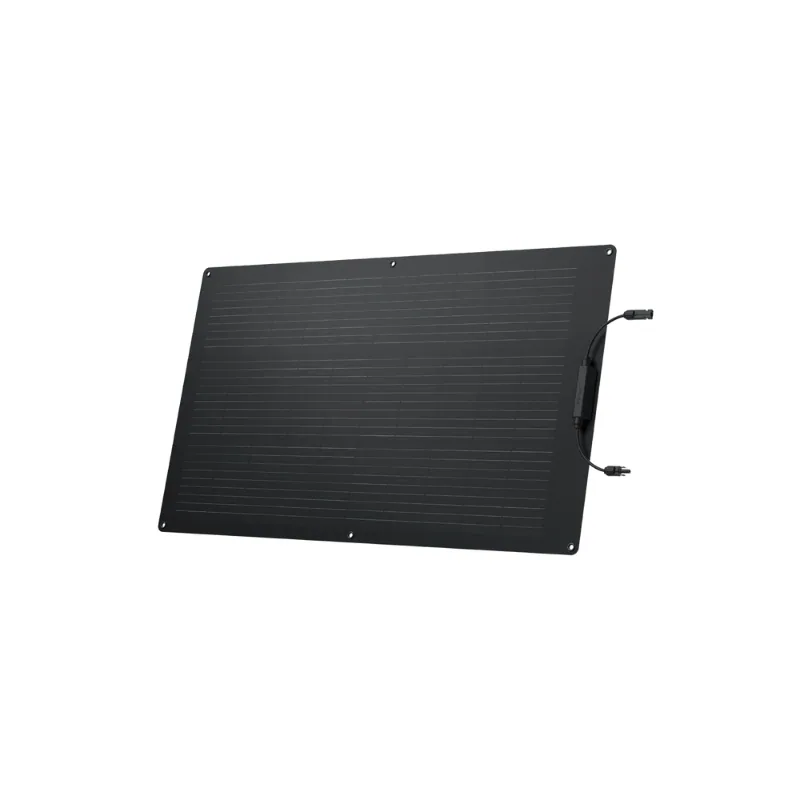 Tấm pin năng lượng mặt trời EcoFlow 100W
