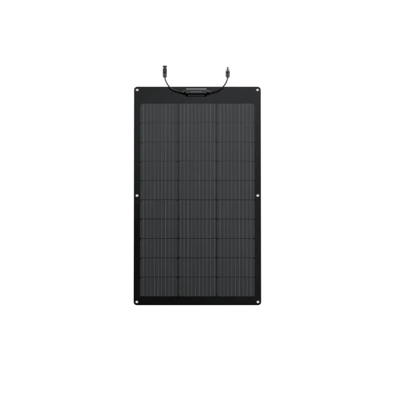 Tấm pin năng lượng mặt trời EcoFlow 100W 2