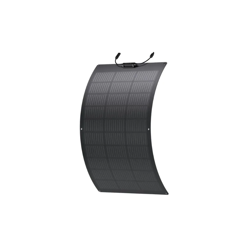 Tấm pin năng lượng mặt trời EcoFlow 100W 3