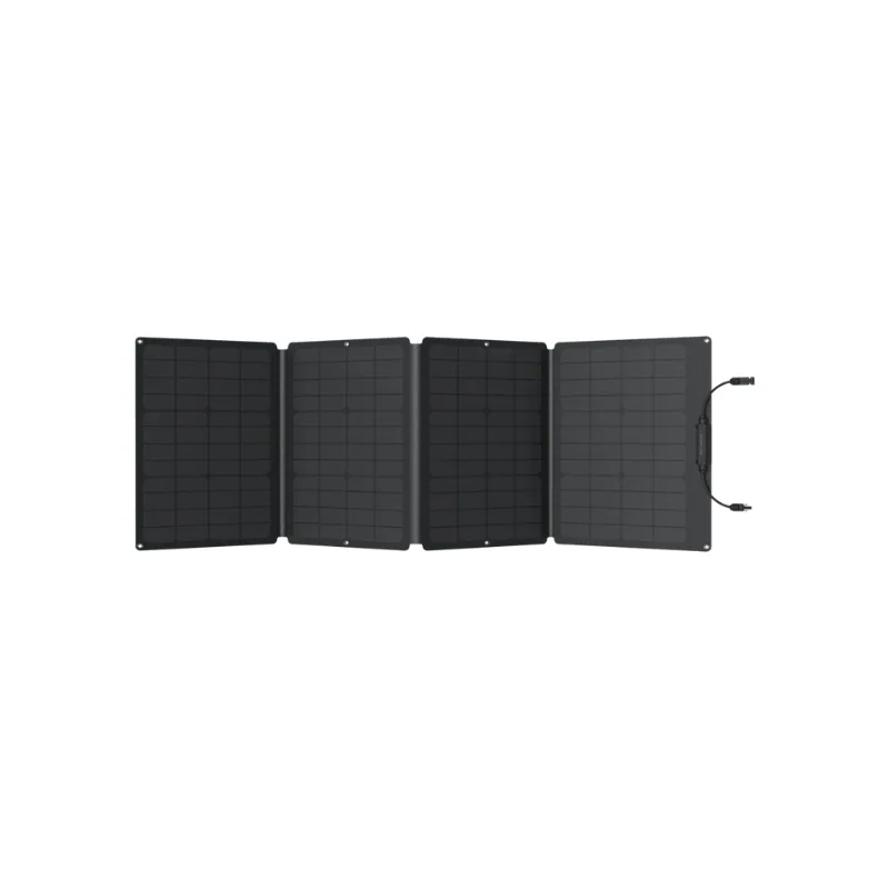 Tấm pin năng lượng mặt trời EcoFlow 110W 2