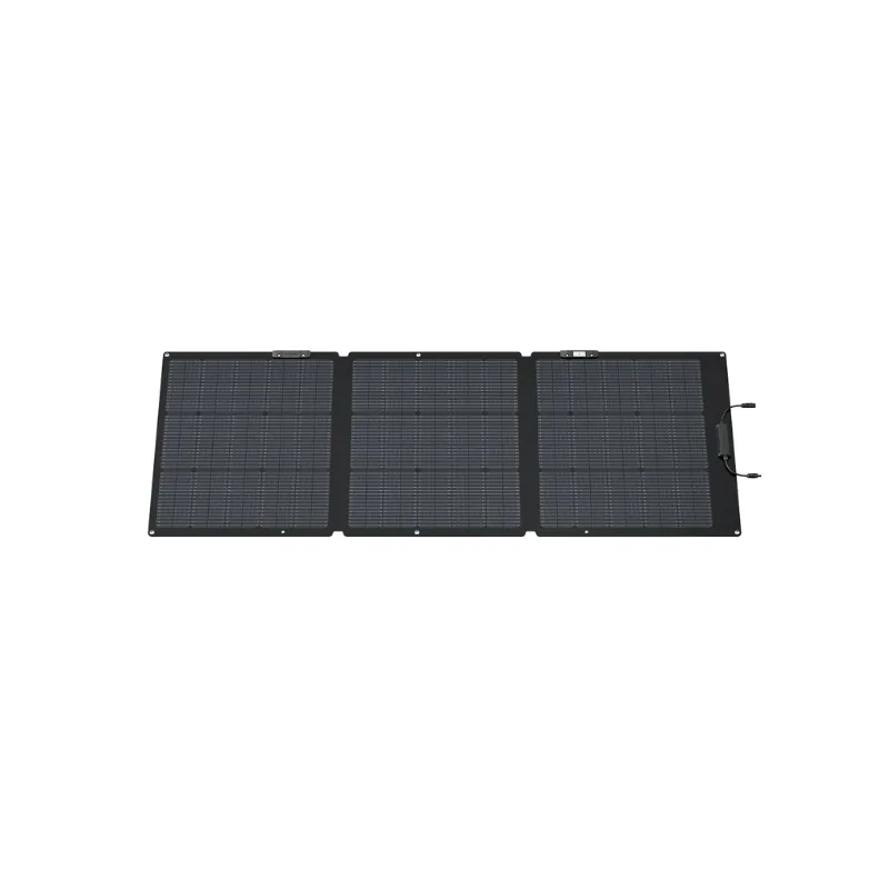 Tấm pin năng lượng mặt trời EcoFlow 160W 2