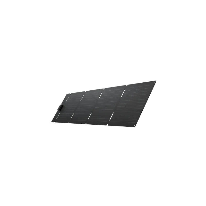 Tấm pin năng lượng mặt trời EcoFlow 60W
