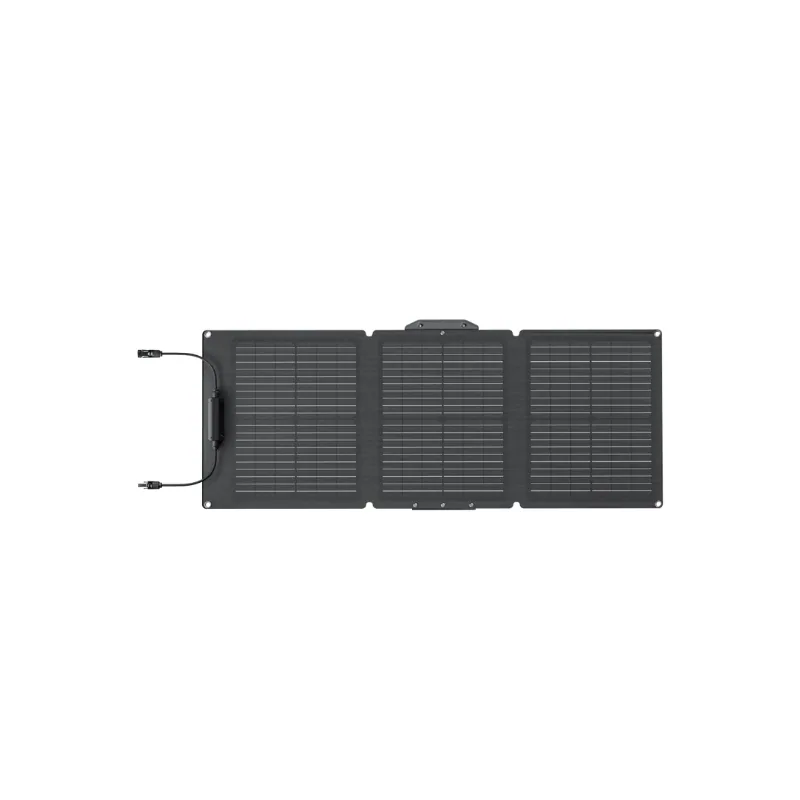 Tấm pin năng lượng mặt trời EcoFlow 60W 3